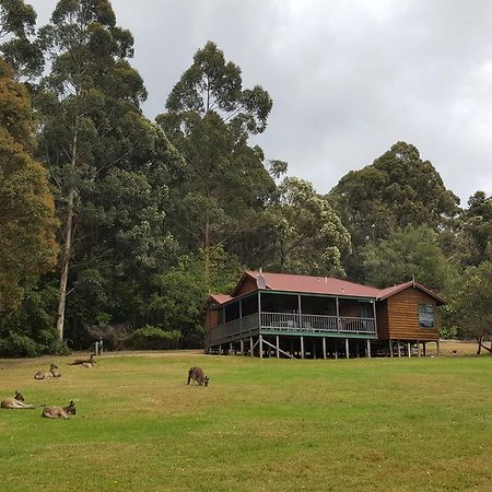 Walpole Wilderness Resort Extérieur photo