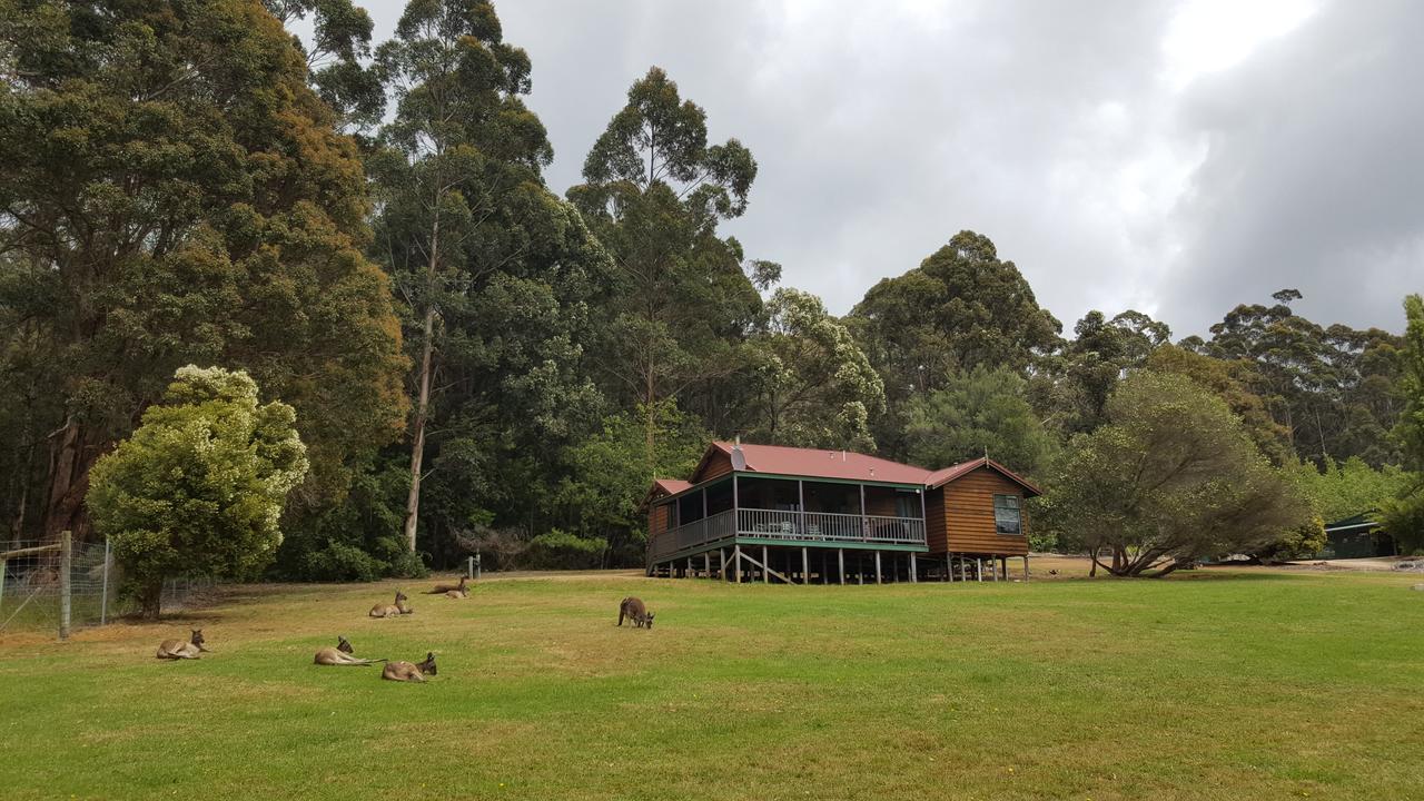Walpole Wilderness Resort Extérieur photo